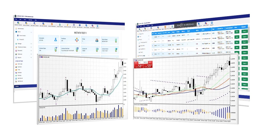 Professional technical analysis in Trade Master 9 allows examining stock and currency quotes from all angles